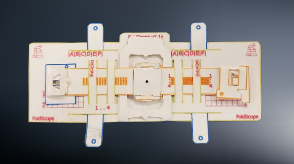 Inspiring STEM Interest Using Foldscope