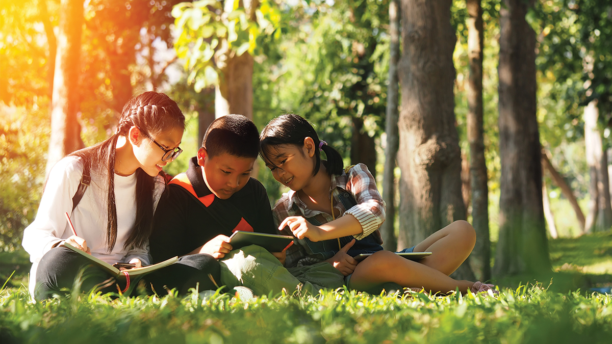 Transforming Local Spaces With Relevant Perspectives