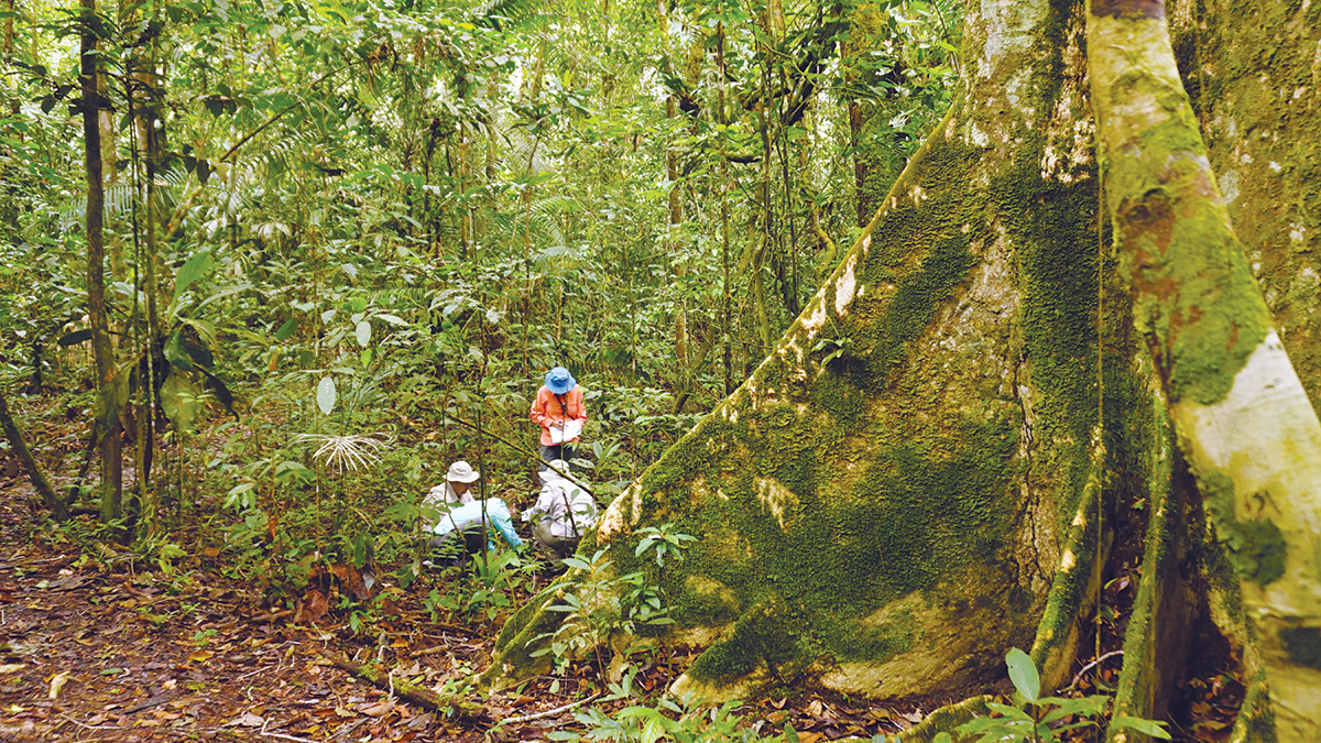 From Local to Global