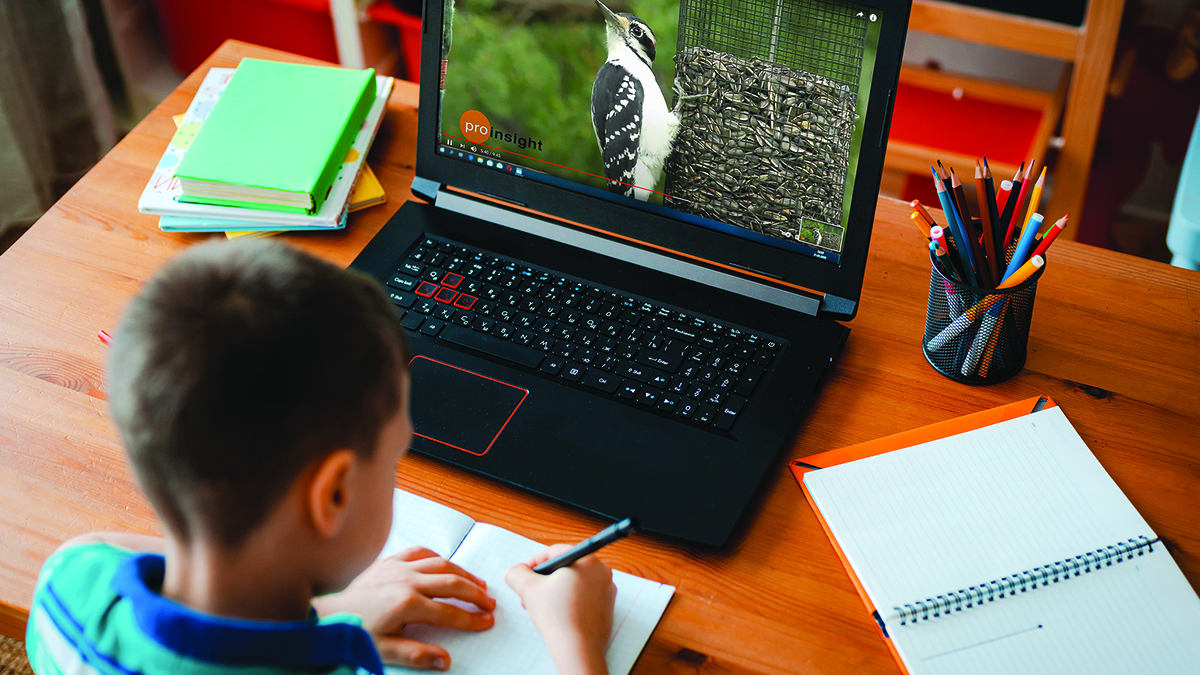 Teaching Comprehension in the Digital Age