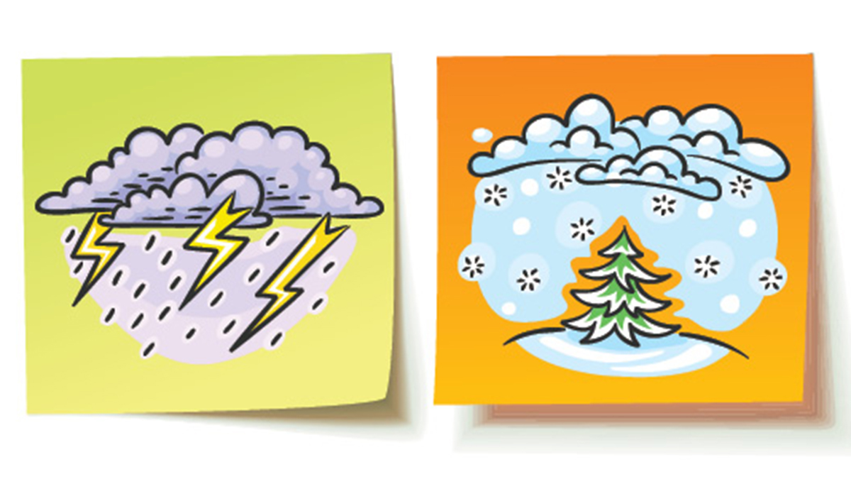 Weathering the Virtual Storm