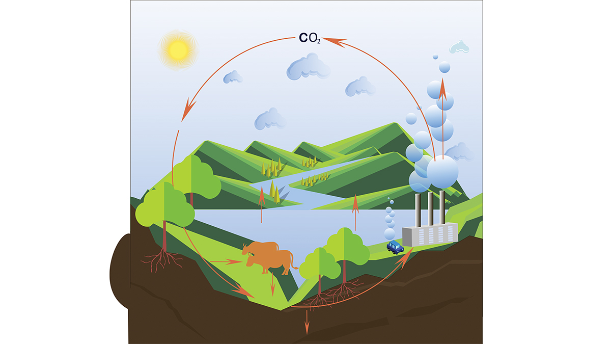PDF) Chapter 19: Future of the North American carbon cycle. In