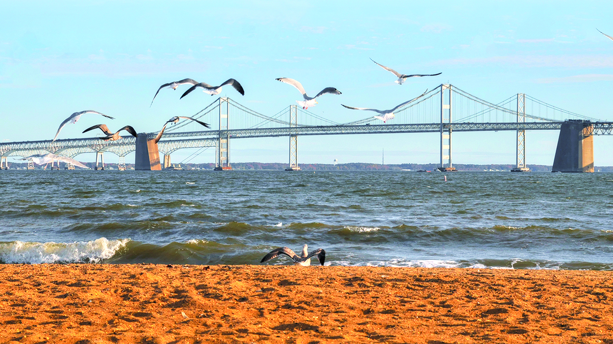 Dirty Water? Clean It Up!