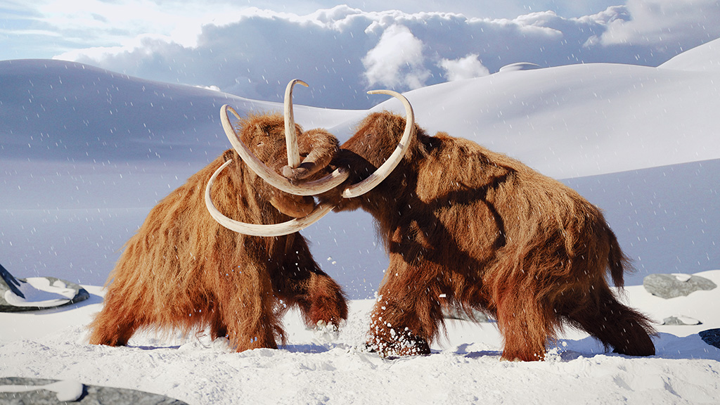 Bringing Mammoths Back from Extinction