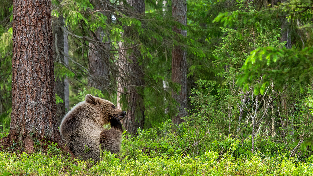 Equal Parts Sleeping and Eating