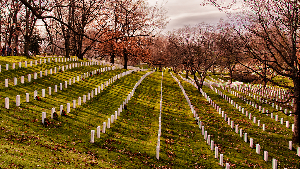 War, Death, and Cognitive Dissonance