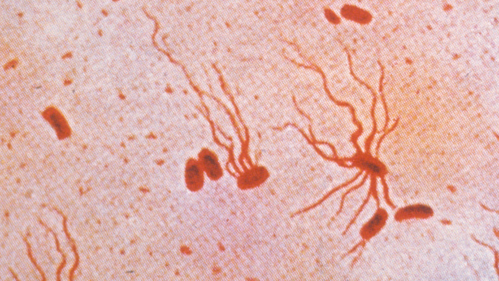 A Shot in the Arm or a Hard Pill to Swallow?