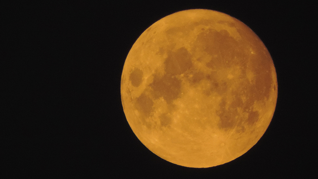 The Moon