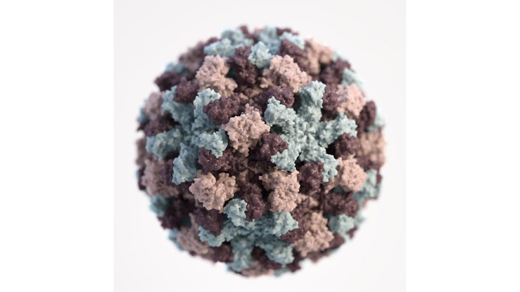 Stomp the Stomach Bug