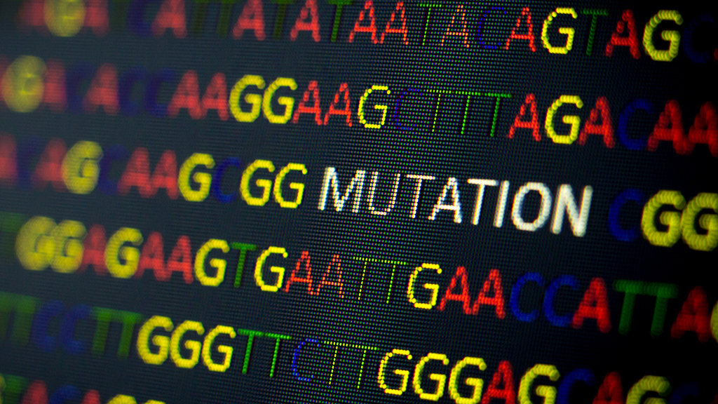 Computers and Micronutrients