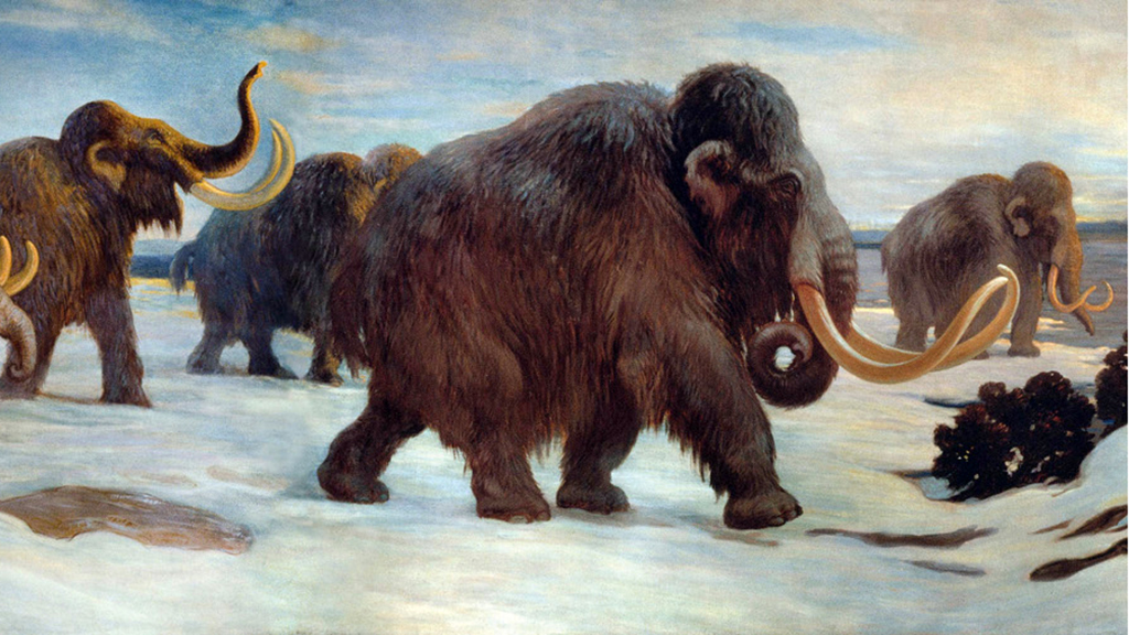 The Cold Never Bothered Me Anyway