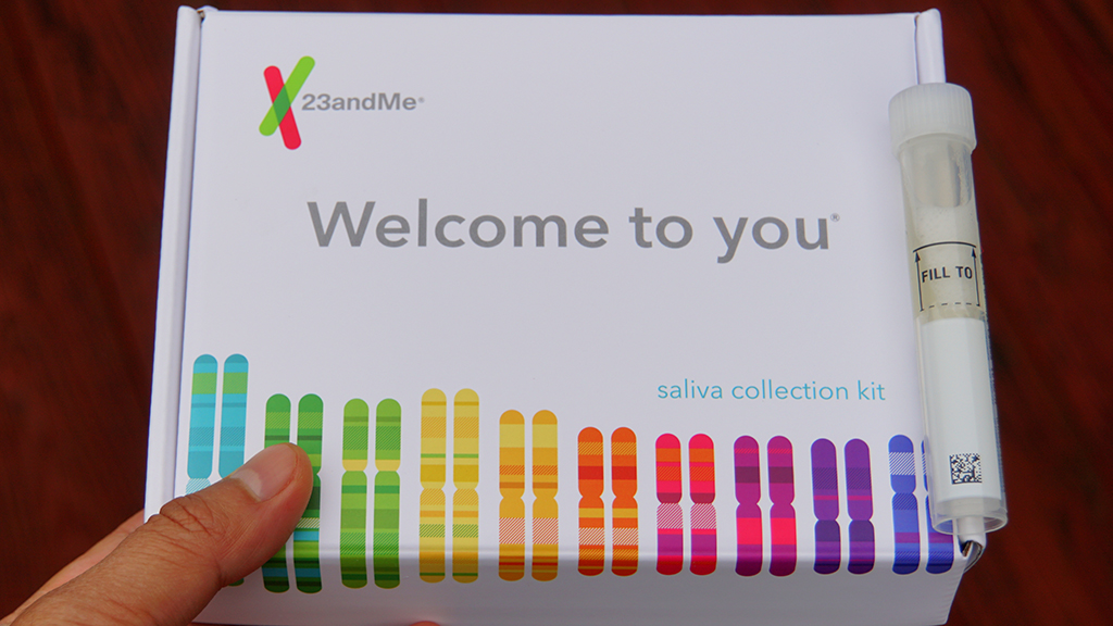 The Potential Perils of Pauline