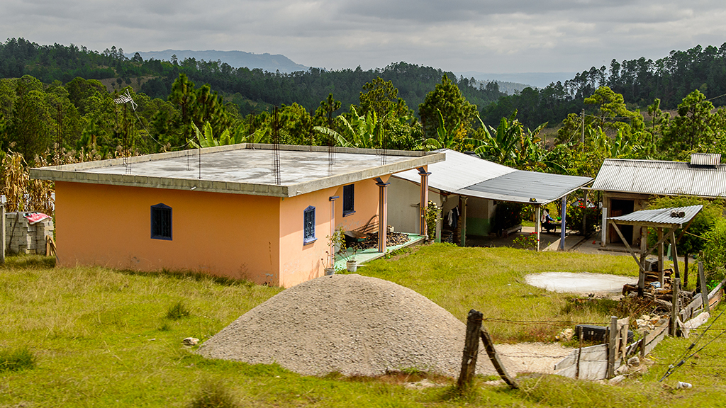 Indigenous Knowledge and the Search for Medicine