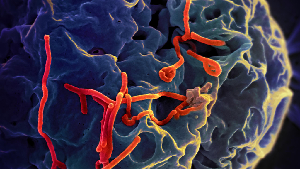 the-ebola-wars-mission-immune-evasion-nsta