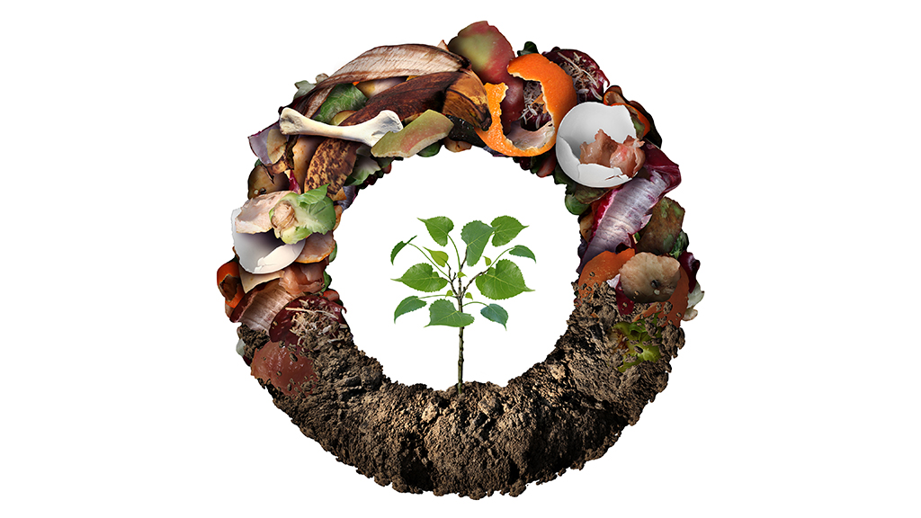 The Poop on Composting