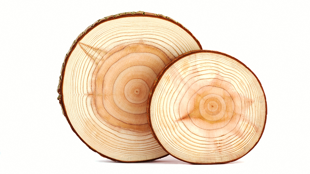 Rings as Keys to the Past