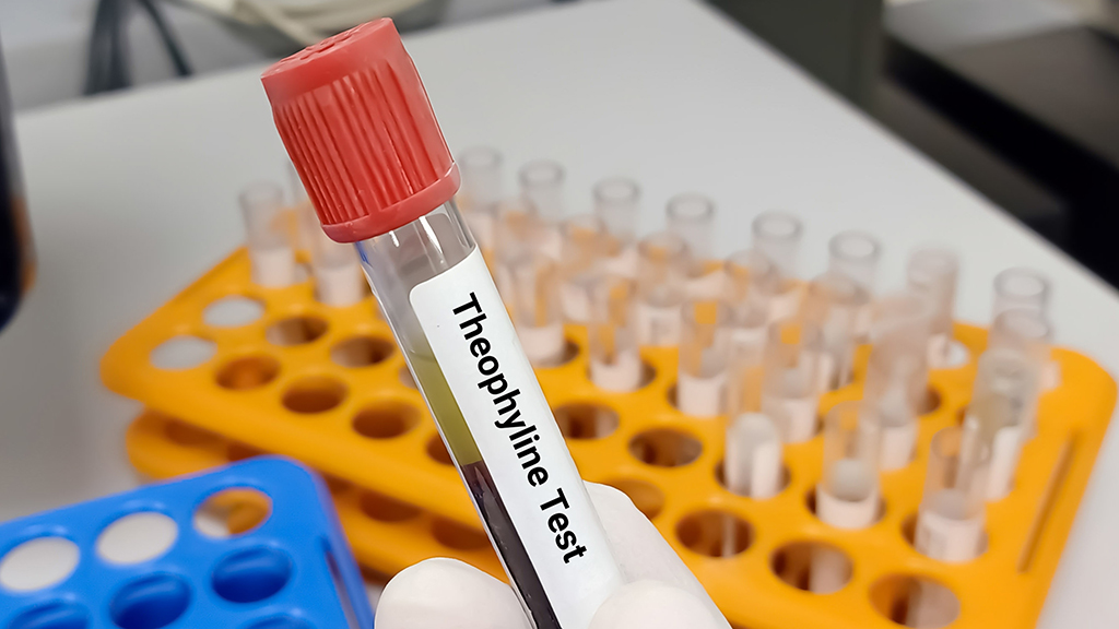 Does a One-Size Drug Dose Fit All?