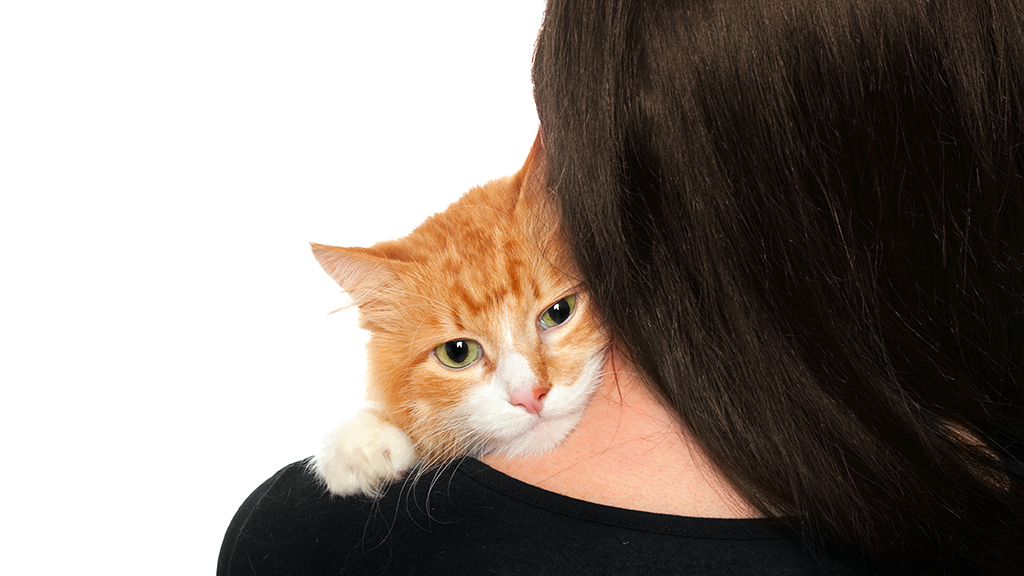 Take Two and Call Me in the Morning