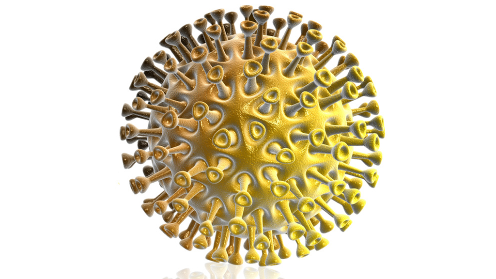 Hidden in Plain Sight