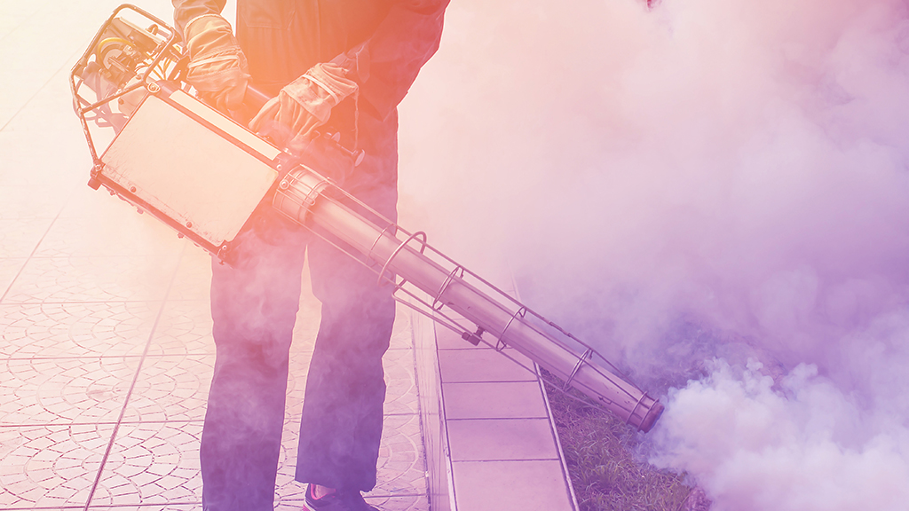 To Spray or Not to Spray