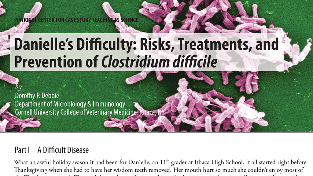 Danielle's Difficulty