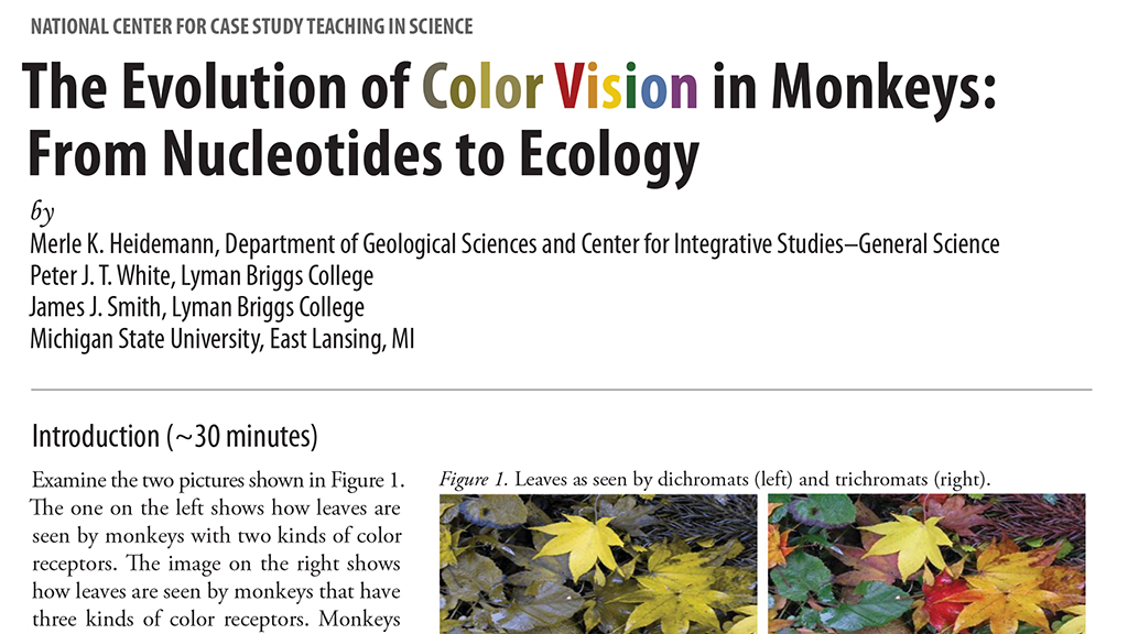 The Evolution of Color Vision in Monkeys