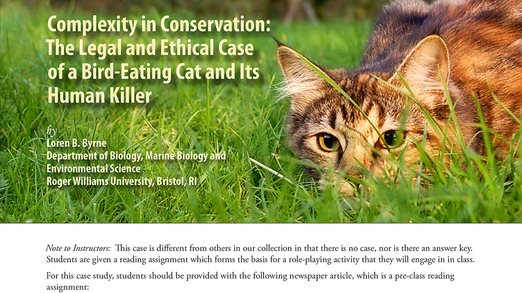 Complexity in Conservation