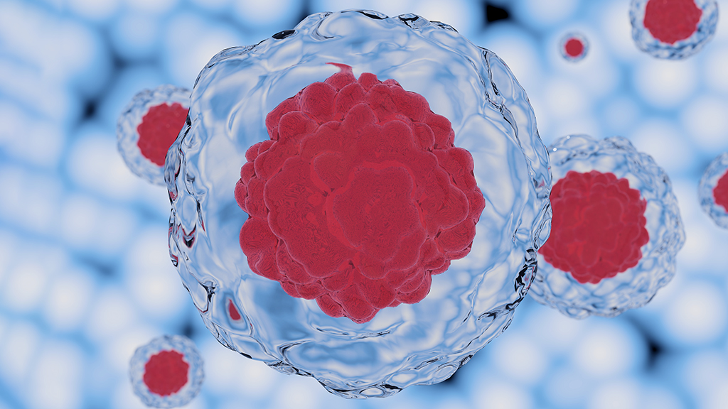 Stem Cells: Promises to Keep?