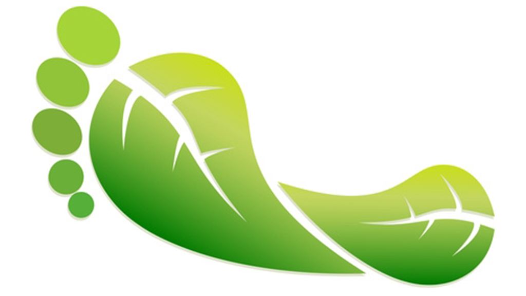 The Ecological Footprint Dilemma