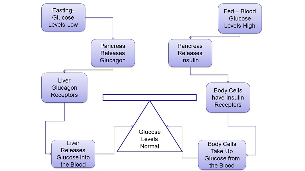 Monday on the Metabolic Ward