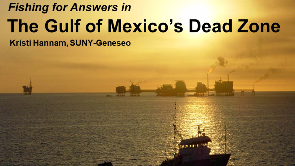 Fishing for Answers in the Gulf of Mexico's Dead Zone