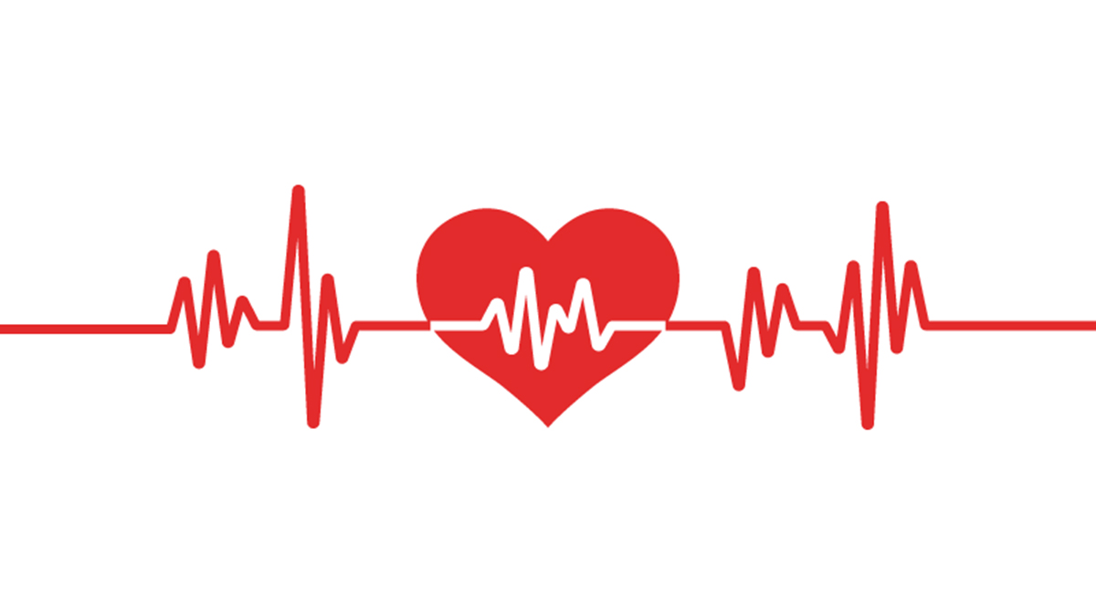 Visualize Your Pulse With Physical Computing