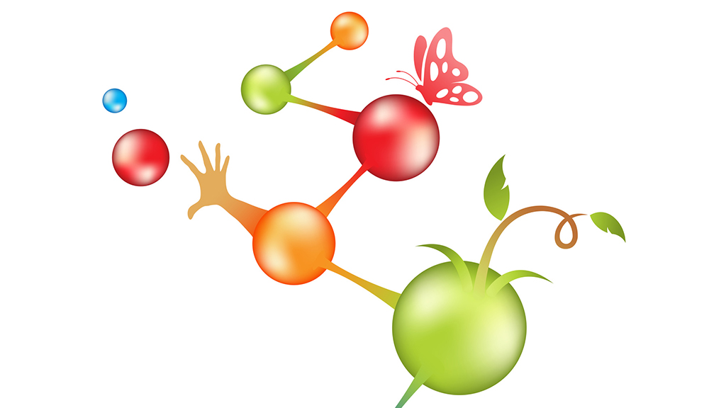 The Molecular Origin of Life: Replication or Metabolism-First? Introductory Version