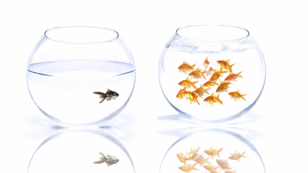 Stereotype Threat and Recommendations for Overcoming It