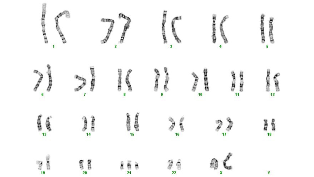 Baby Doe v. The Prenatal Clinic