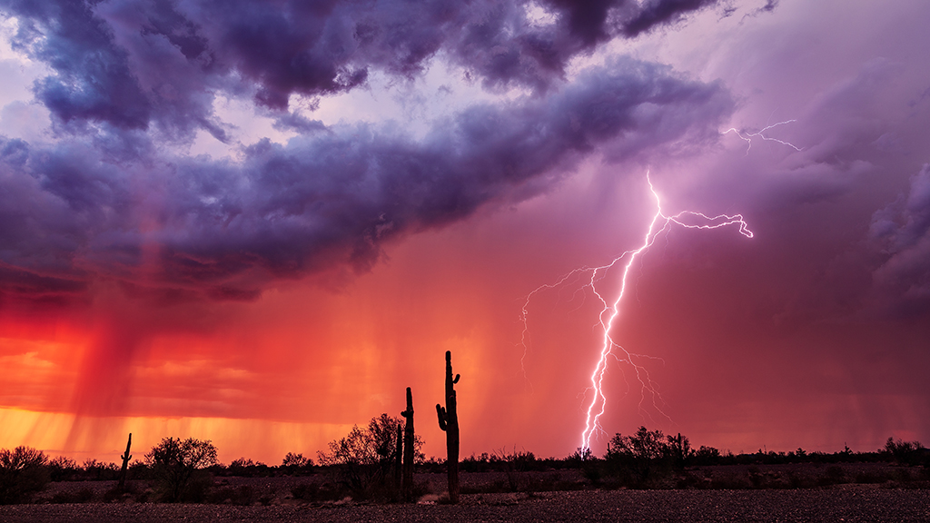 A Metabolic Storm