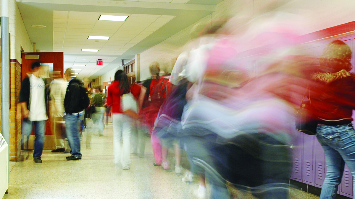 Your Student Said What?!