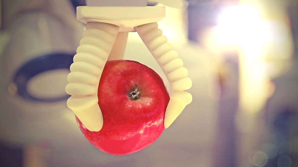 Revolutionizing Robotics