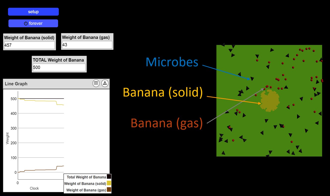 Computational Modeling With Multilingual Learners