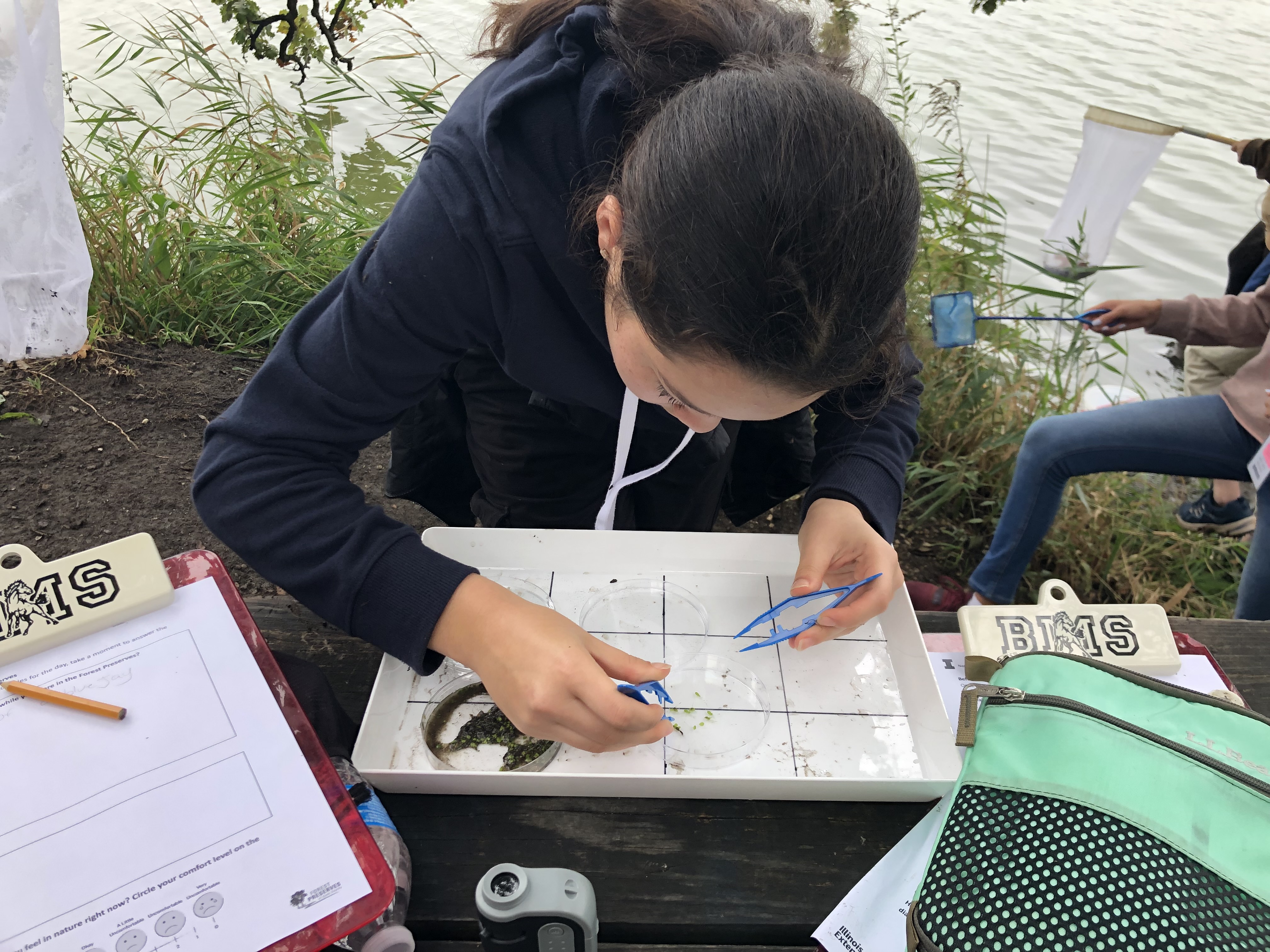 Outdoor Teaching and Learning in Natural Spaces and Outdoor Classrooms