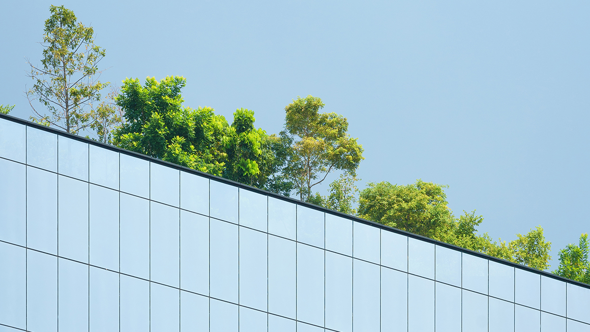 Rooftop Garden Ecosystem