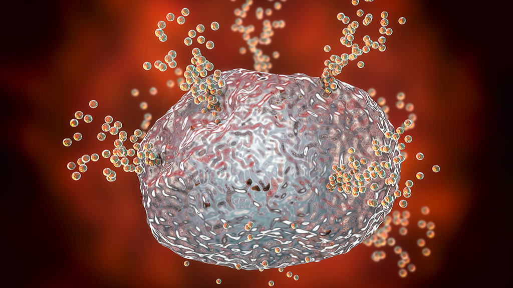 An Anaphylaxis Praxis