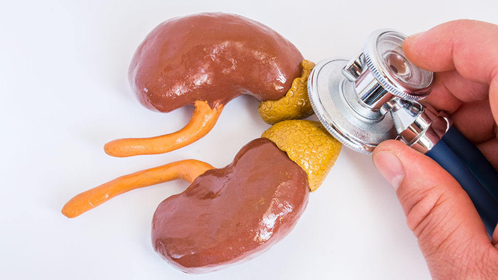 Navigating the Complexity of the Endocrine System