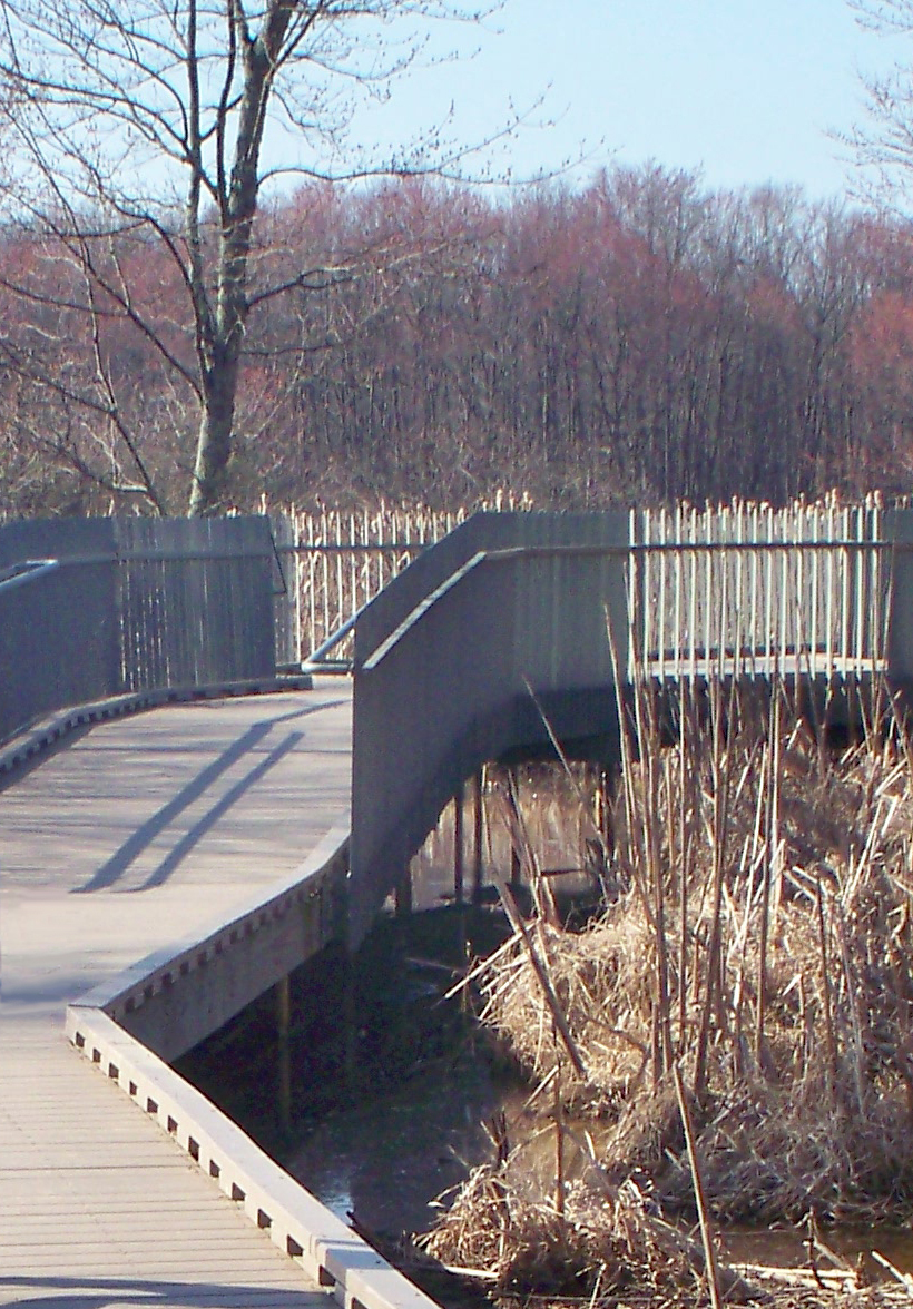 A boardwalk trail through a wetlands.