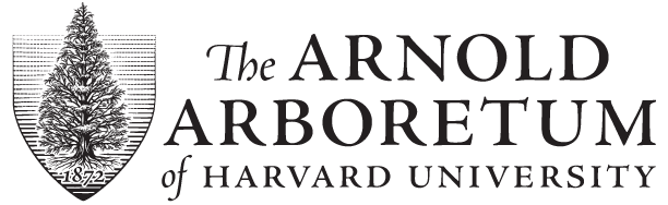 Logo of the Arnold Arboreteum