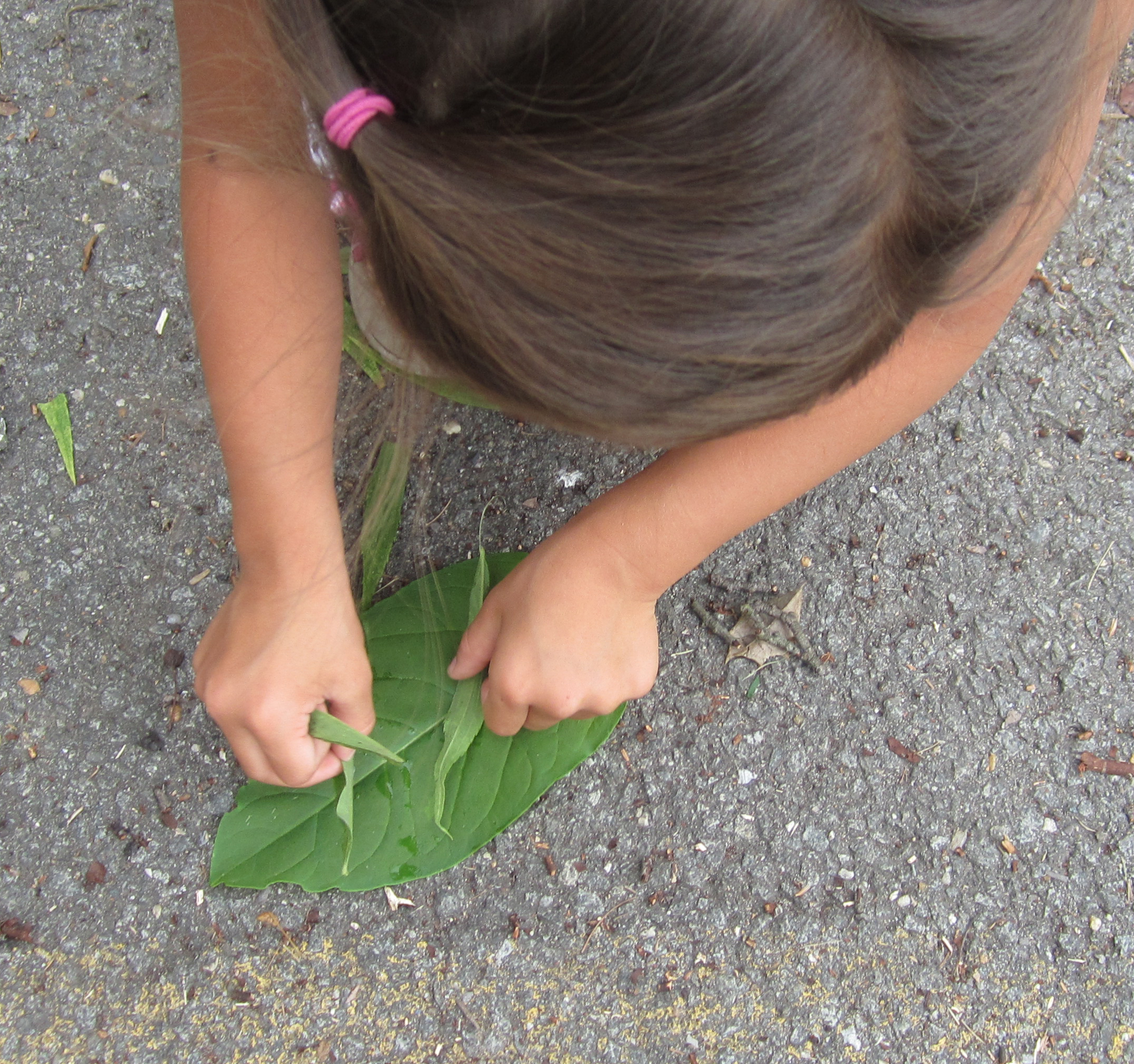 Child arranges small leaves on a leaf "plate."