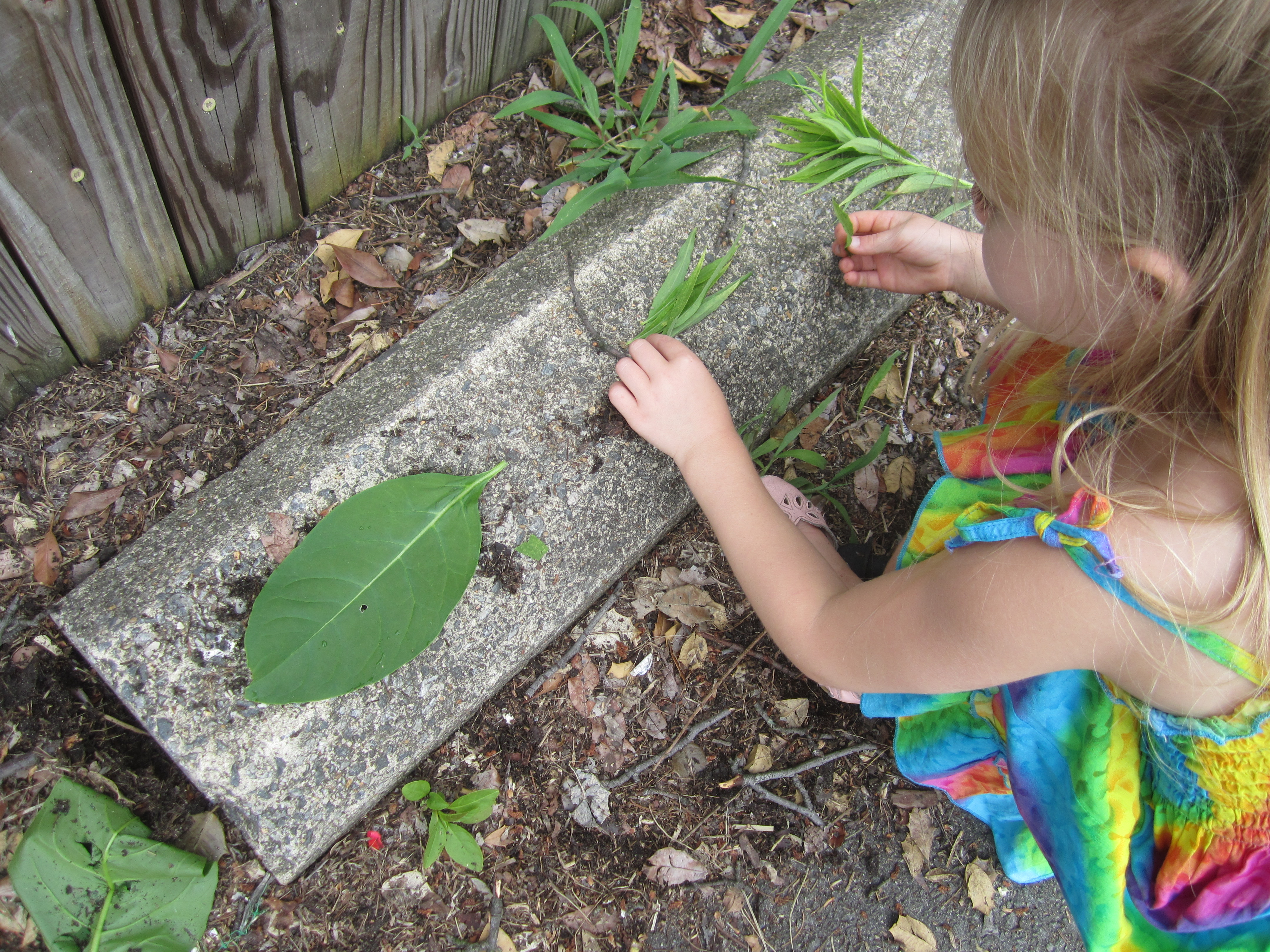 Child preparing play "food" from leaves.