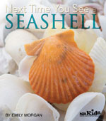 Cover image of NSTA Kids book "Next Time You See a Seashell"