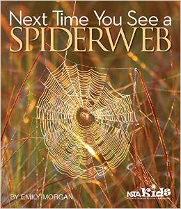 spiderwebcover