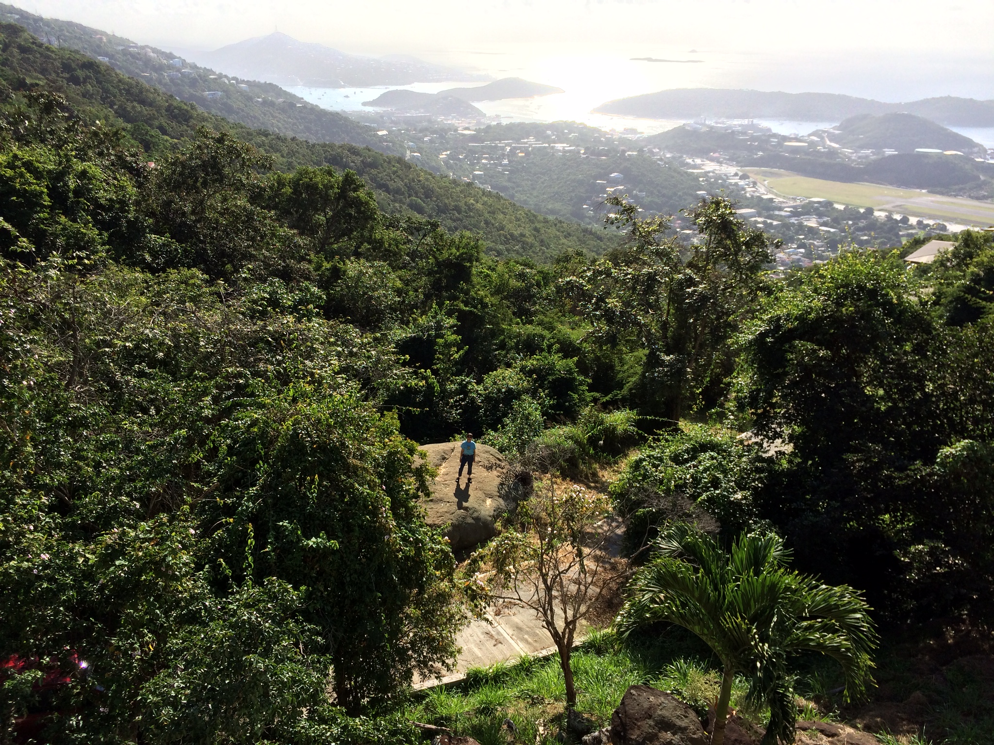 View of a tropical hillside with the sea in the distance.